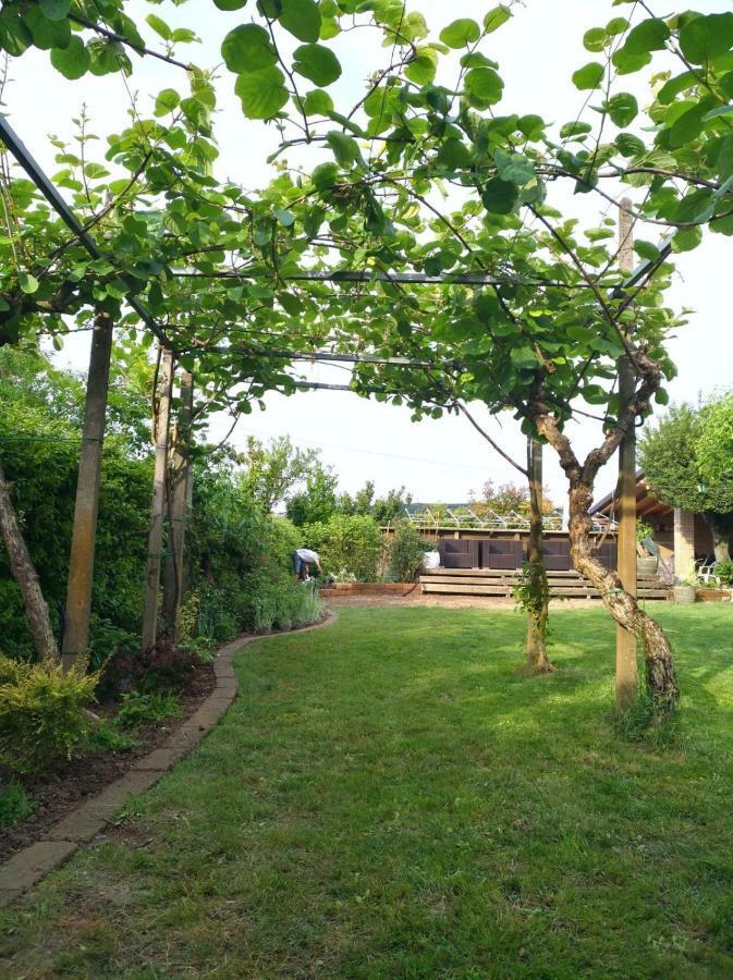 Su Misura Villa Molini  ภายนอก รูปภาพ